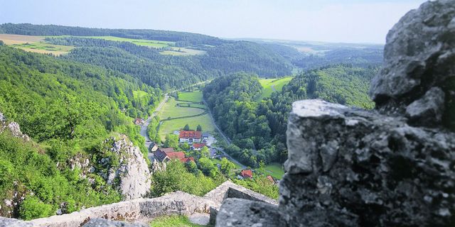 Die Grünen Münsingen